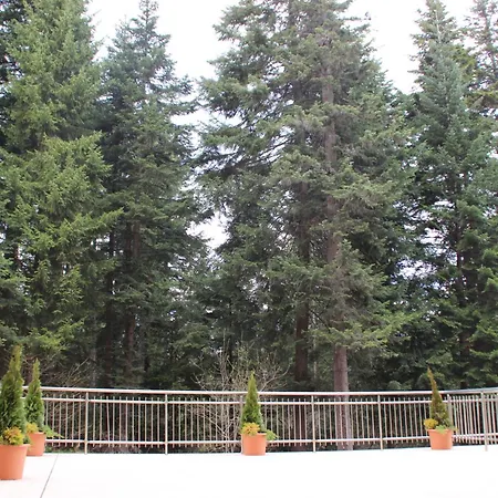 Stylish One Bedroomed 112 In Main Flora Building *